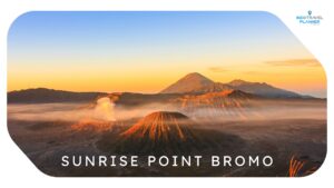 Open Trip Bromo Dari Jogja Best Seller