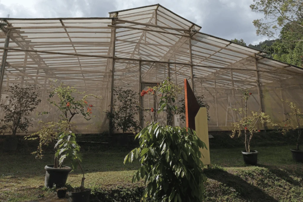 Green House Kaliurang Park Botanical Garden