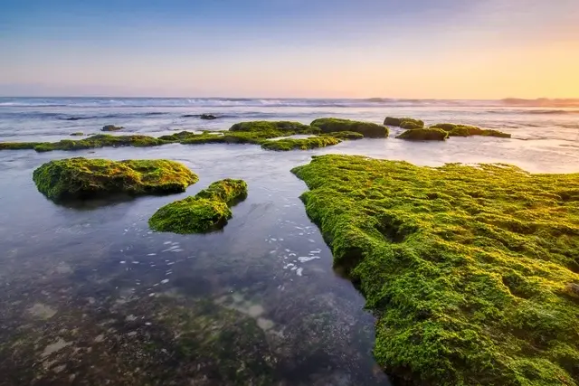 Keindahan Pantai Pok Tunggal Gunungkidul