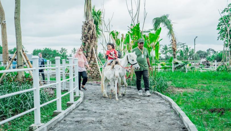 Menunggang Kuda di Mini Zoo Obelix Village