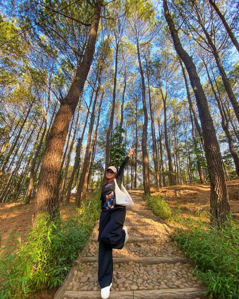 Puncak Becici - Indo Travel Planner